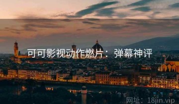 可可影视动作燃片：弹幕神评