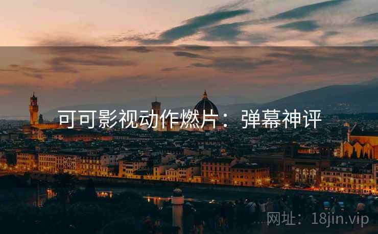 可可影视动作燃片：弹幕神评