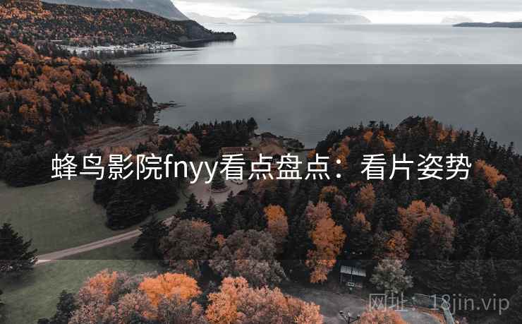 蜂鸟影院fnyy看点盘点：看片姿势