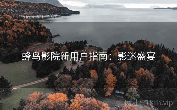 蜂鸟影院新用户指南：影迷盛宴