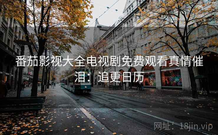 番茄影视大全电视剧免费观看真情催泪：追更日历